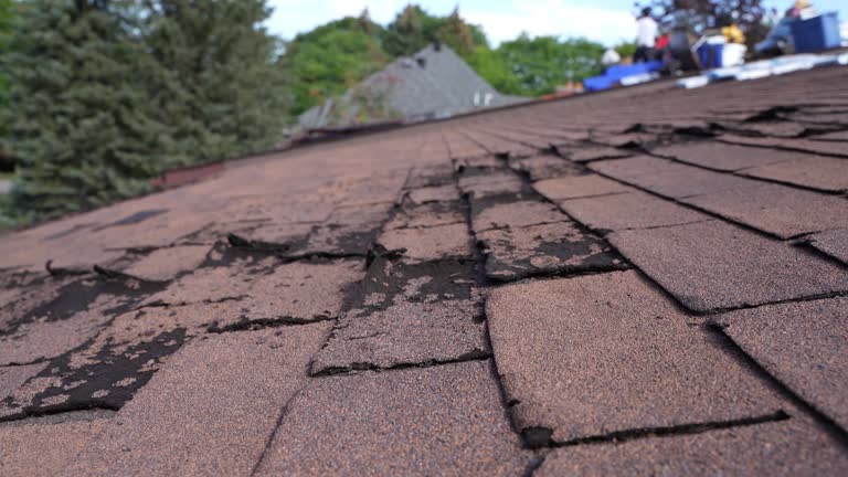 Best Solar Panel Roofing Installation  in Volcano Golf Course, HI