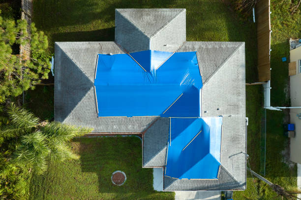 Best Roof Moss and Algae Removal  in Volcano Golf Course, HI